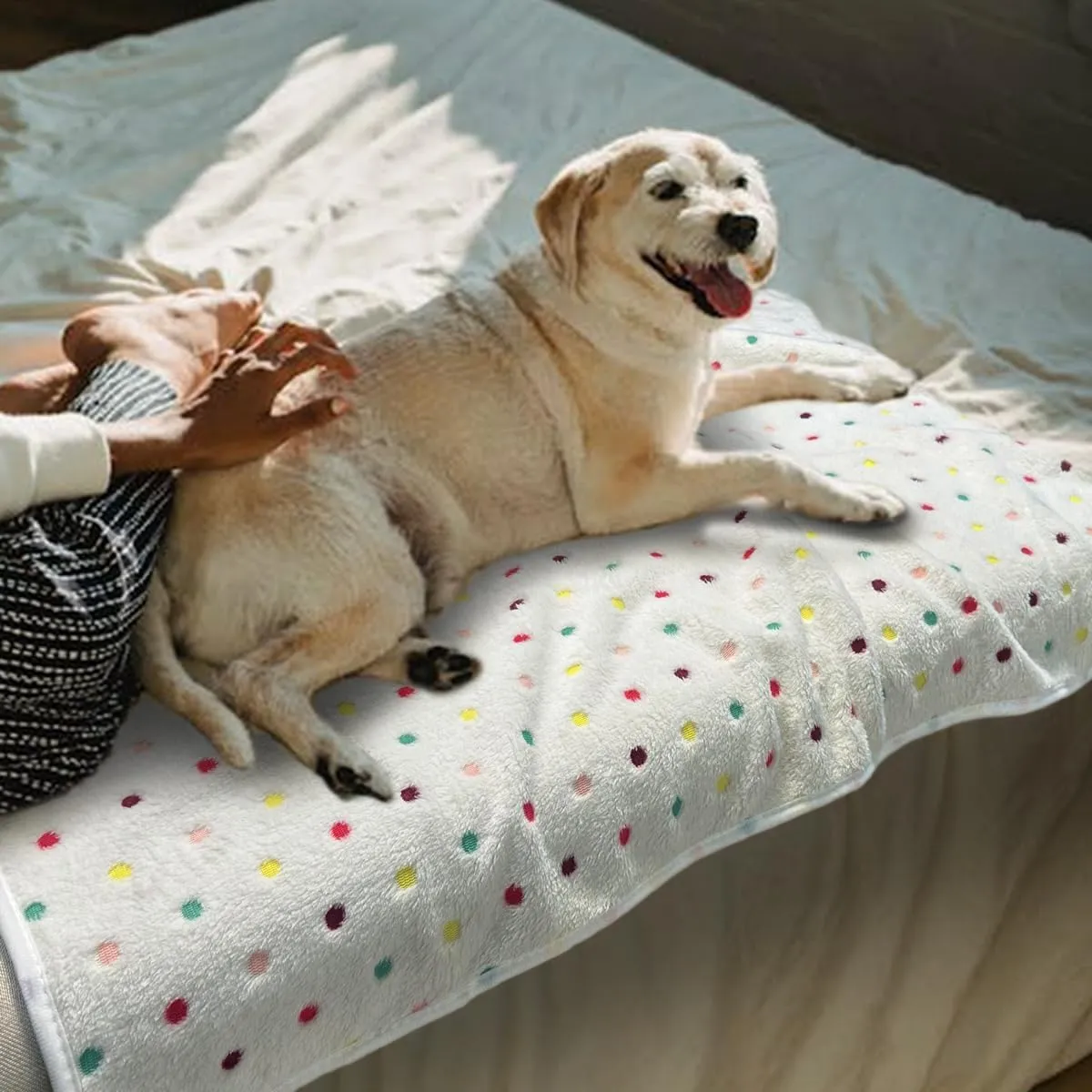 3 Pack Dog Blankets for Small Dogs, 23''x16'' Washable Dog Blanket, Soft Pet Blankets for CatRabbitGuinea Pig Small Animal Fleece Bedding Cute Claw Pattern Rabbit Bedding