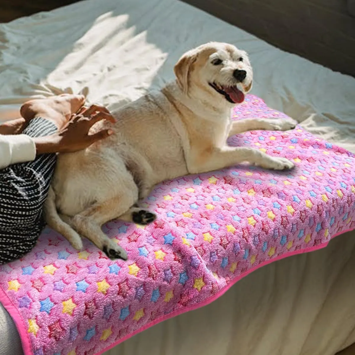 3 Pack Dog Blankets for Small Dogs, 23''x16'' Washable Dog Blanket, Soft Pet Blankets for CatRabbitGuinea Pig Small Animal Fleece Bedding Cute Claw Pattern Rabbit Bedding