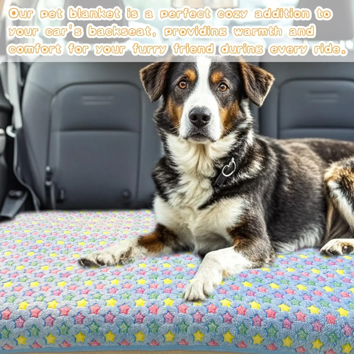 3 Pack Dog Blankets for Small Dogs, 23''x16'' Washable Dog Blanket, Soft Pet Blankets for CatRabbitGuinea Pig Small Animal Fleece Bedding Cute Claw Pattern Rabbit Bedding