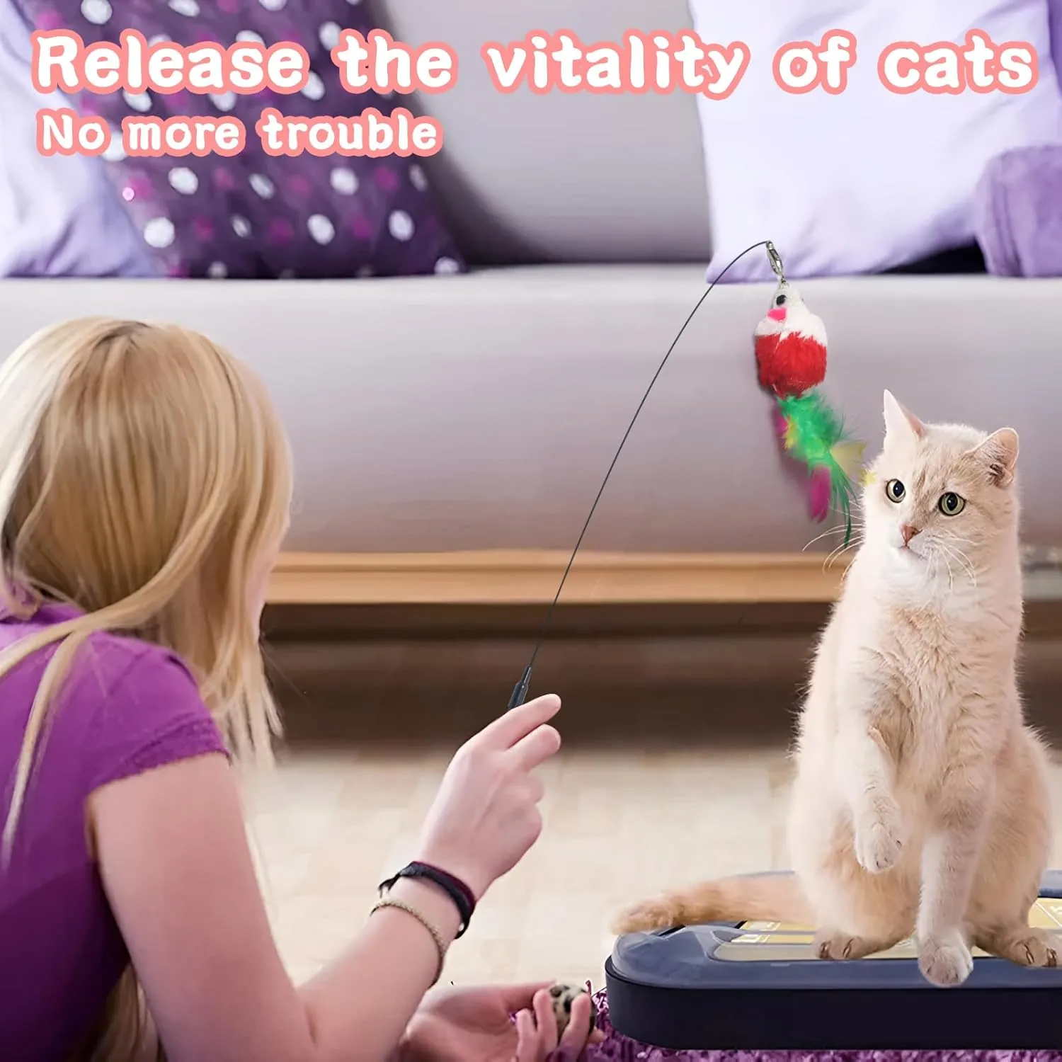 4-in-1 Interactive Cat Feather Toy Set for Indoor Cats  Extendable Wand, 2-Pole Suction Cup Base, Catnip Pillow, 14  Accessories  Self-Play & Interactive Cat Toys with Safe Durable Materials