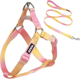 AIITLE Step-in Dog Harness and Leash Set - No Pull Pet Adjustable Halter Harness with A 5FT Leash - Double D Ring,Easy Fit - Easy Walk Running Training for Large Breed Dogs,Yellow-Pink Gradient L