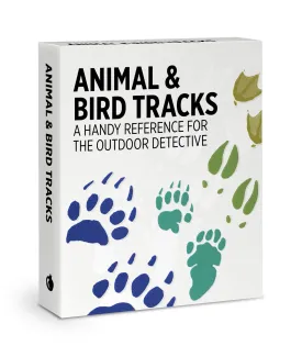 Animal and Bird Tracks Knowledge Deck