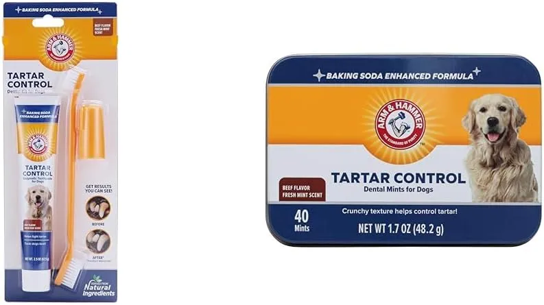 Arm & Hammer Dental Care Bundle for Dogs: Tartar Control Kit with Toothpaste, Toothbrush, Fingerbrush - Beef Flavor and Dental Mints, 40 Count - Reduces Plaque & Tartar, Safe for Puppies