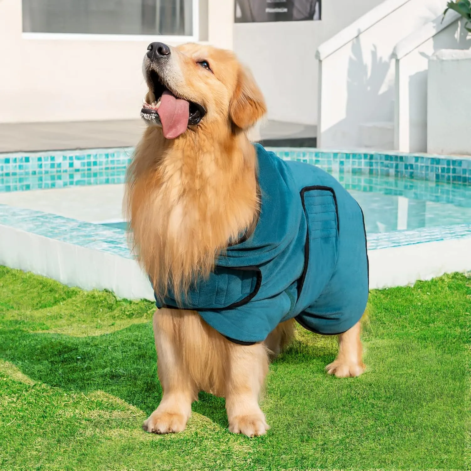 Avont Dog Bathrobe - Super Absorbent Pet Drying Towel Bath Robes After Bath Shower Swim Wet Walk for Puppies -Blue(M)