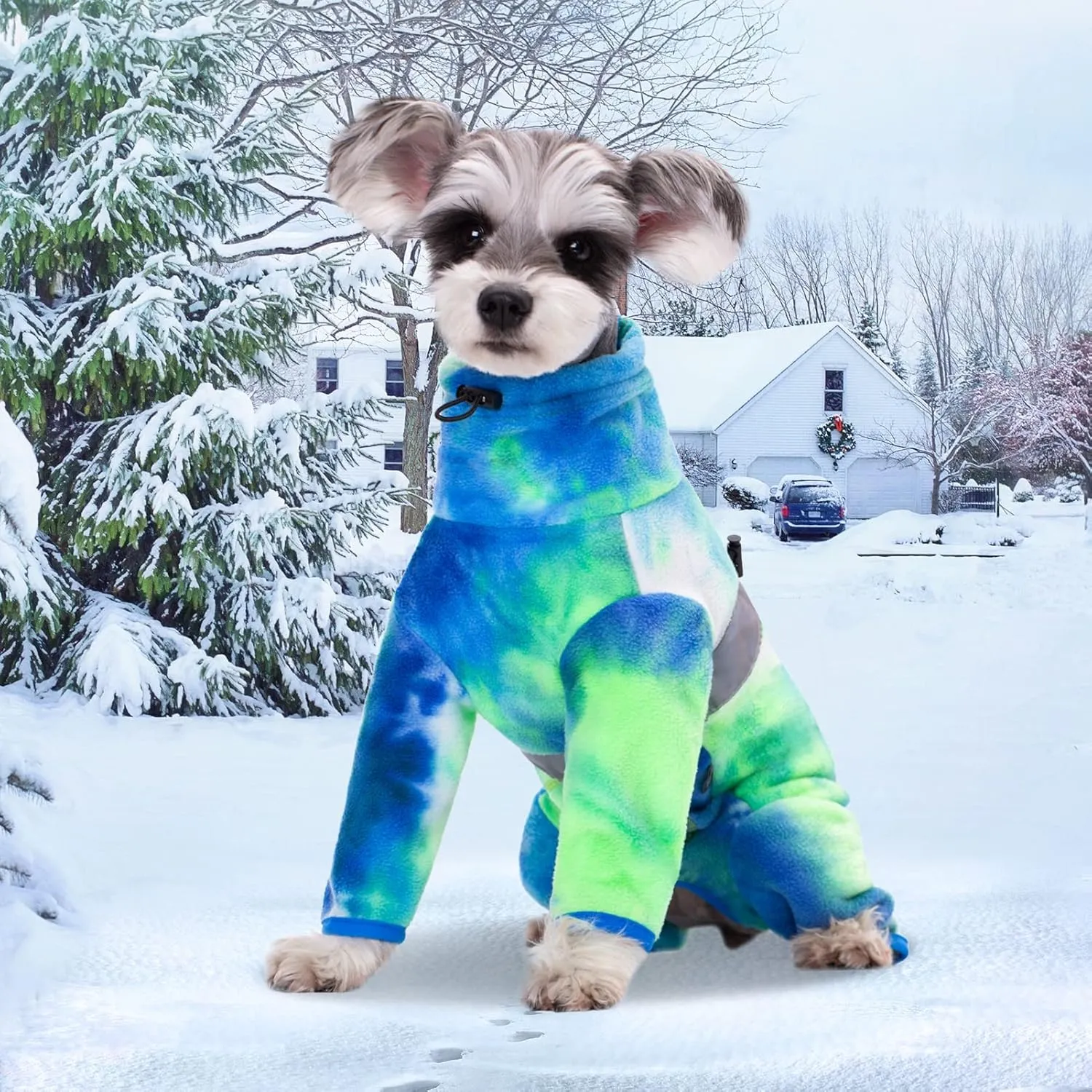 Dog Coats for Small Dogs, Polar Fleece Dog Pajamas Bodysuit, Puppy Onesies Tie Dye Jumpsuits, Dogs Warm Clothes Four-Legged, Doggie Fullbody Winter Jacket Vest