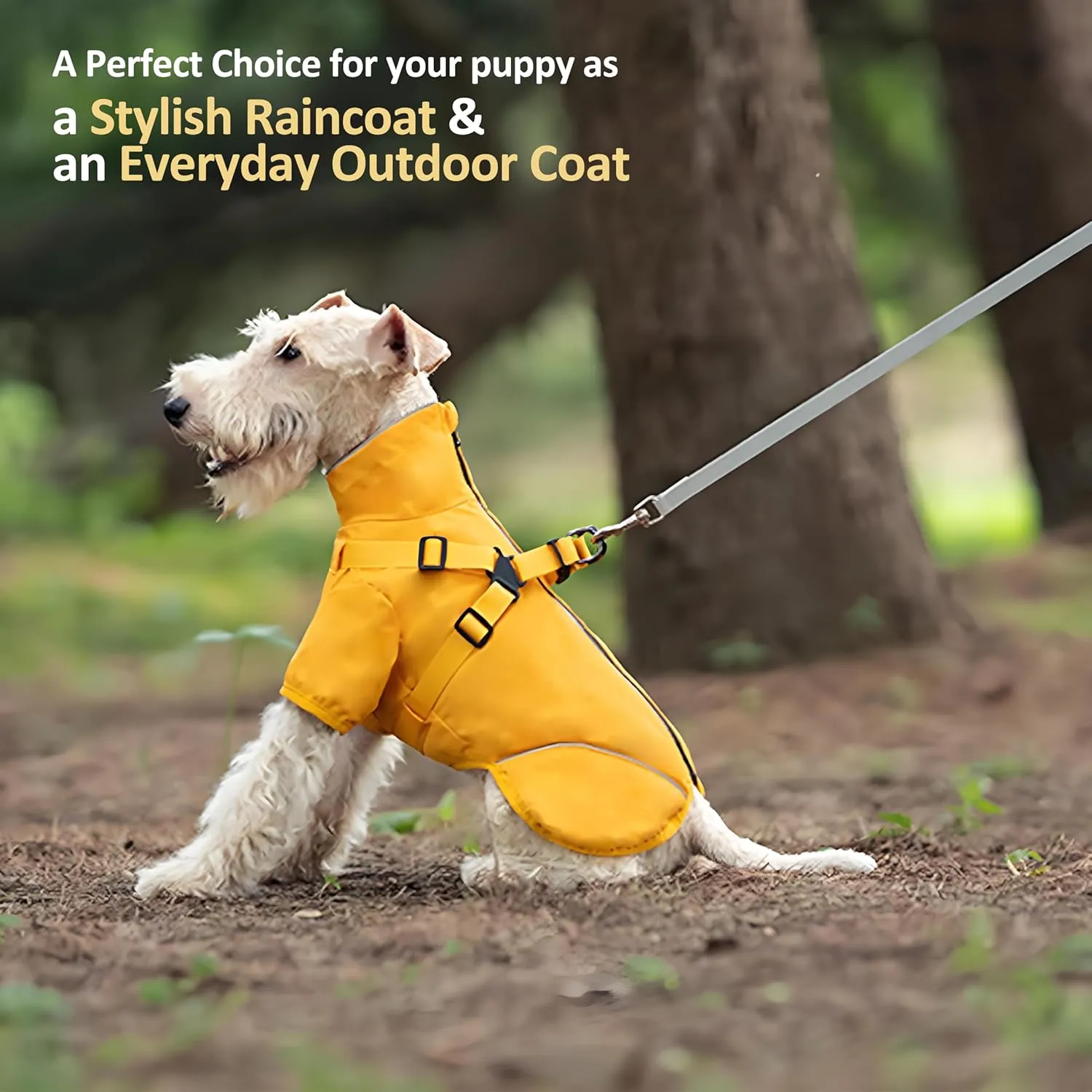 Dog Raincoat for Small Medium Dogs, Waterproof Dog Jacket with Adjustable Harness Built in, Back Zipper for Easy Dressing, Puppy Rain Coat with Reflective Strap, Small Medium Dog rain Coat (Medium)