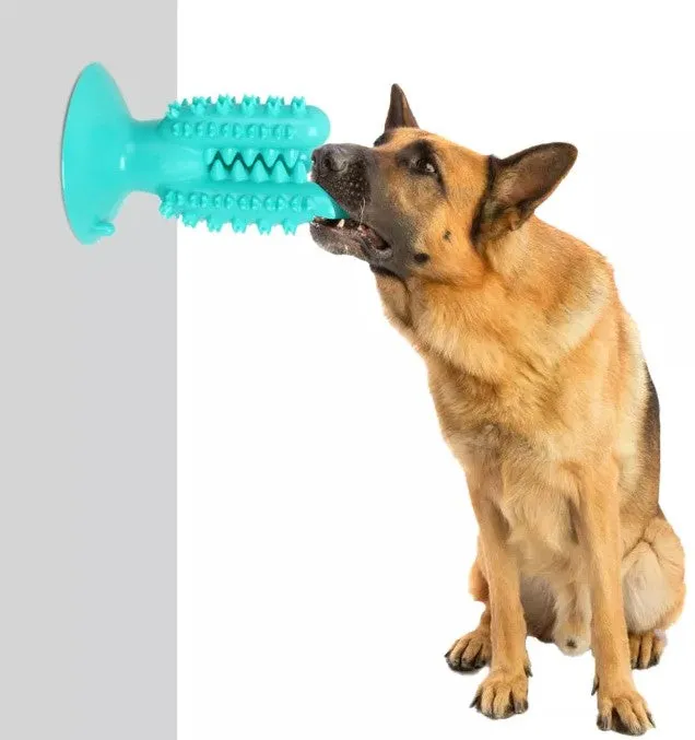 Dog Toothbrush Chew Toy With Suction Cup