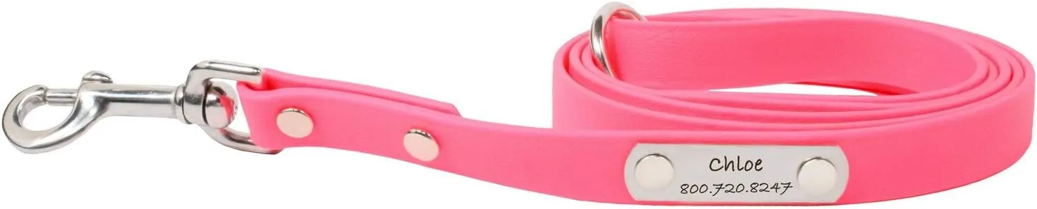 dogIDs Personalized Dog Leash, Waterproof Soft Grip Snap with Rivet On Custom Nameplate-Durable & Comfortable for Walking, Running, Training Small, Medium, Large Breeds -Pink, 3/4 in x 6 ft