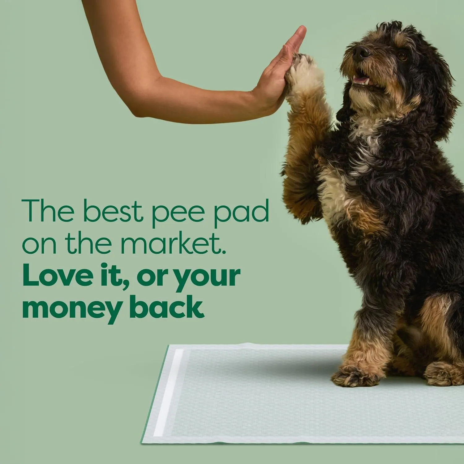 Earth Rated 3-in-1 Max Absorbency Puppy Pee Pads for Dogs, Odor Blocking, Leak Prevention Potty Training Pad, Large, 22 x 23 Inches, 50 Count