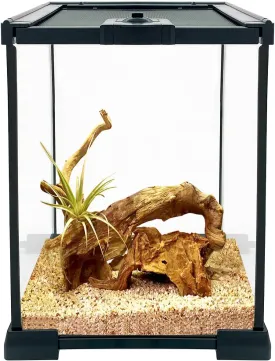 Glass Reptile Terrarium, 8" x 8" x 12" Tank with Sliding Door Ventilation for Leopard Gecko, Hermit Crab, Bearded Dragon, Lizard, Snake, Spider, Frog