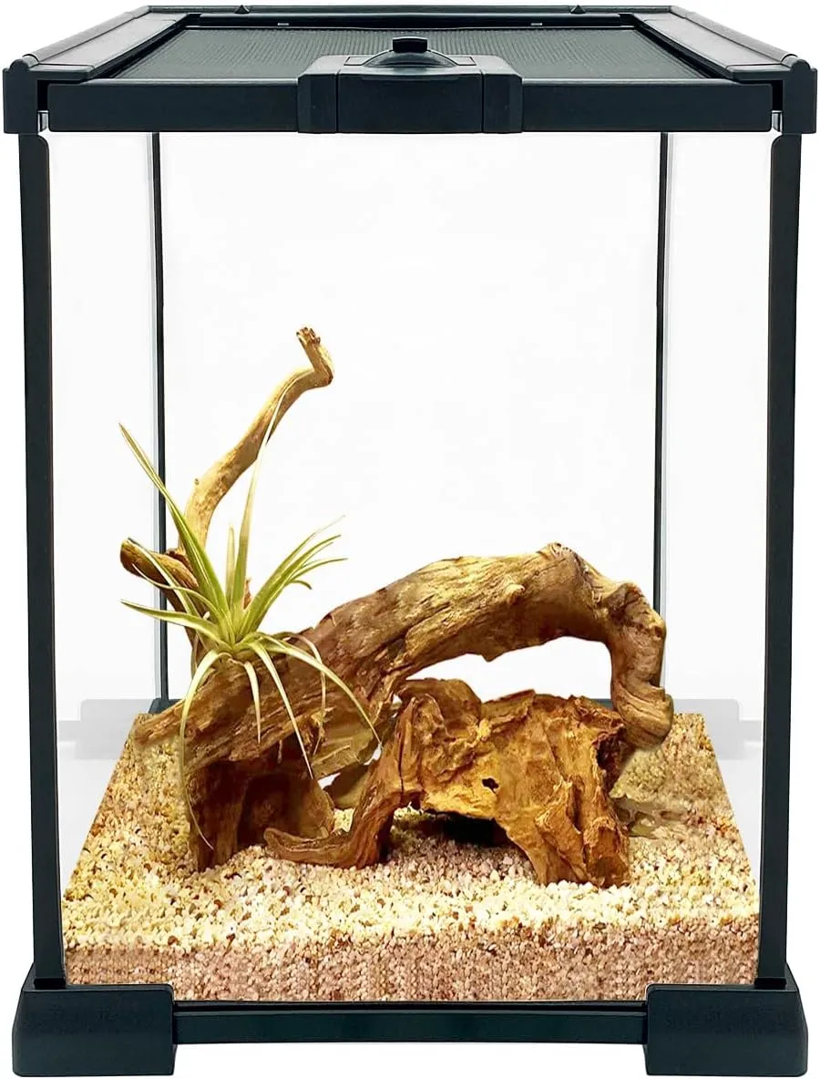 Glass Reptile Terrarium, 8" x 8" x 12" Tank with Sliding Door Ventilation for Leopard Gecko, Hermit Crab, Bearded Dragon, Lizard, Snake, Spider, Frog