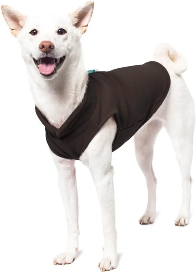Gooby Fleece Vest Dog Sweater - Brown-Turquoise, Small - Warm Pullover Jacket with O-Ring Leash - Winter Coat for Cold Weather - Clothes for Small Dogs Boy or Girl