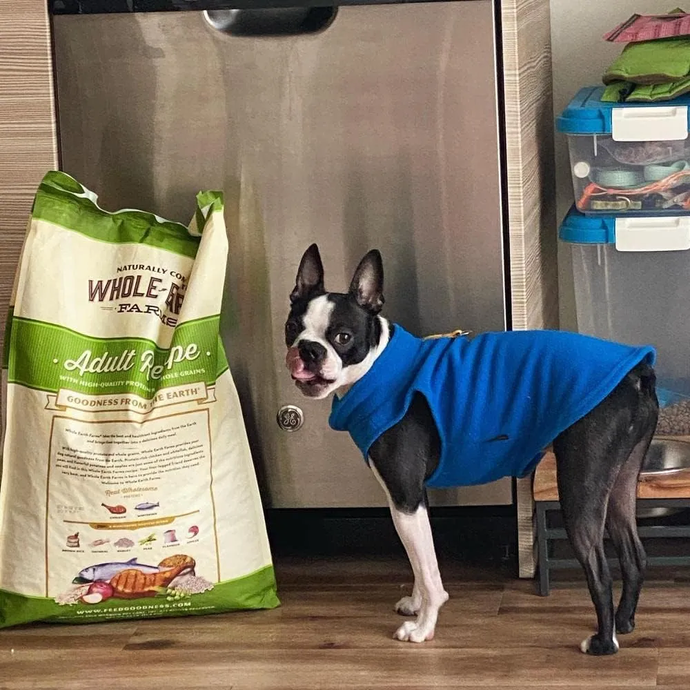 Gooby - Fleece Vest, Small Dog Pullover Fleece Jacket with Leash Ring, Deep Blue, Small