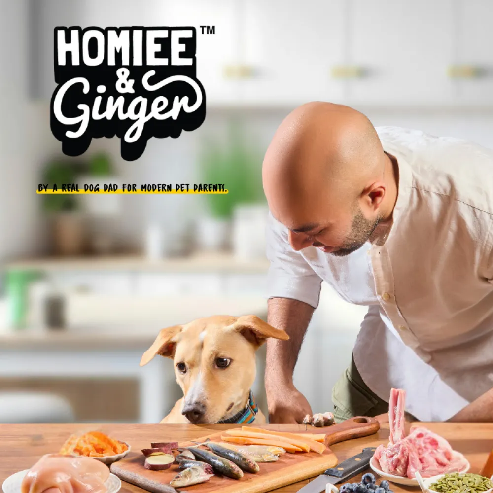 Homiee & Ginger Power Bowl Fish Fiesta Fresh Food for Dogs