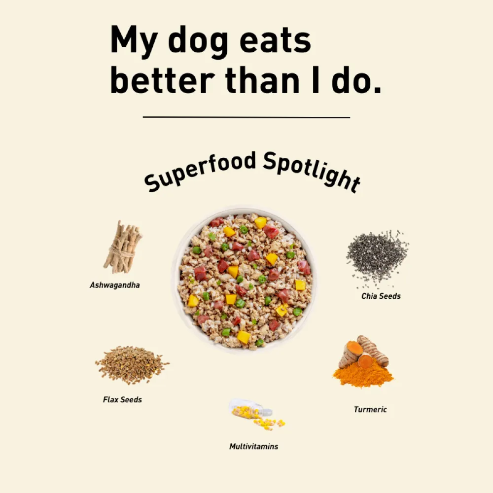 Homiee & Ginger Power Bowl Fish Fiesta Fresh Food for Dogs
