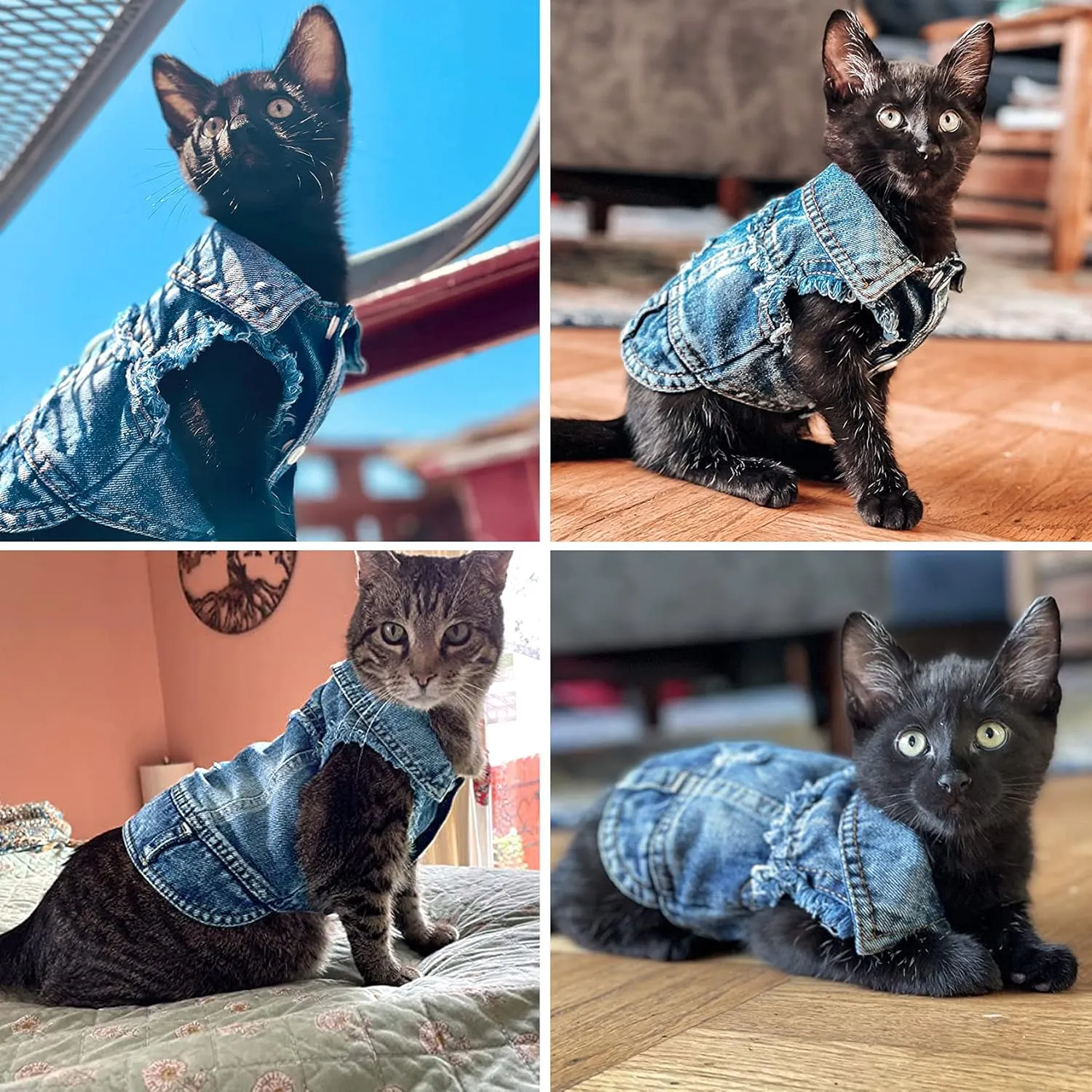 Jean Jacket, Blue Denim Lapel Vest Coat T-Shirt Costume for Small Medium Dogs Cats, Cute Girl Boy Puppy Clothes, Comfort and Cool Apparel, Machine Washable Outfits (XXL, Blue)