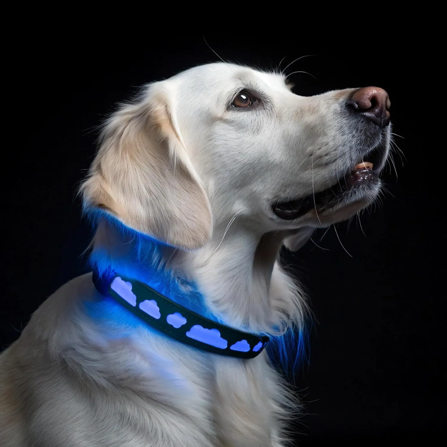 Light Up Dog Collar with Airtag Holder - Dog Tracking with LED Lights, GPS, and Air Tag Holder Collar Waterproof - Designed for Medium & Large Breeds - Effective Pet Tracker
