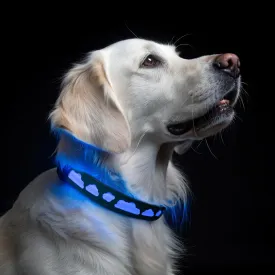 Light Up Dog Collar with Airtag Holder - Dog Tracking with LED Lights, GPS, and Air Tag Holder Collar Waterproof - Designed for Medium & Large Breeds - Effective Pet Tracker