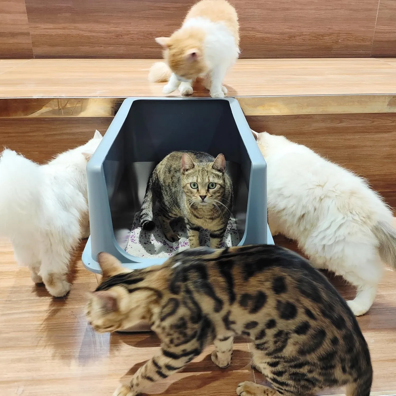Litter Box with Lid, Large Stainless Steel Litter Box High Sides, 16" Metal Cat Litter Box, Extra Large Litter Boxes for Big Cats, Tall Cat Litter Pan, Cat Litter Tray Covered Grey, Easy Clean