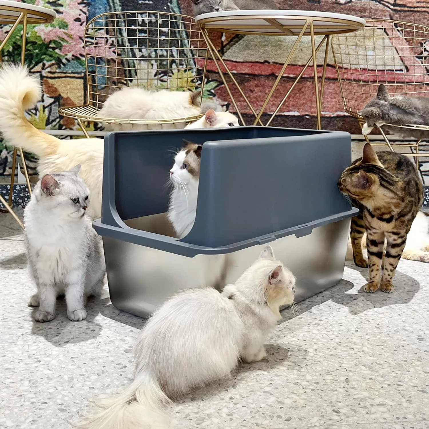 Litter Box with Lid, Large Stainless Steel Litter Box High Sides, 16" Metal Cat Litter Box, Extra Large Litter Boxes for Big Cats, Tall Cat Litter Pan, Cat Litter Tray Covered Grey, Easy Clean