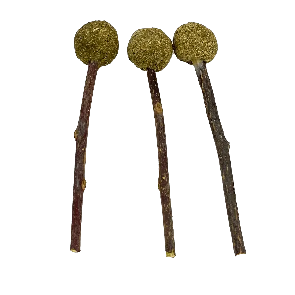 Moss Hollow Timmy Pops Hay Treat