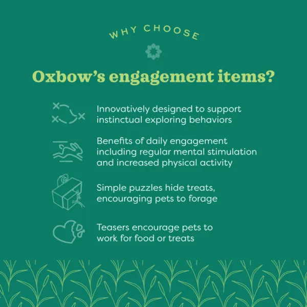 Oxbow Enriched Life - Play Table