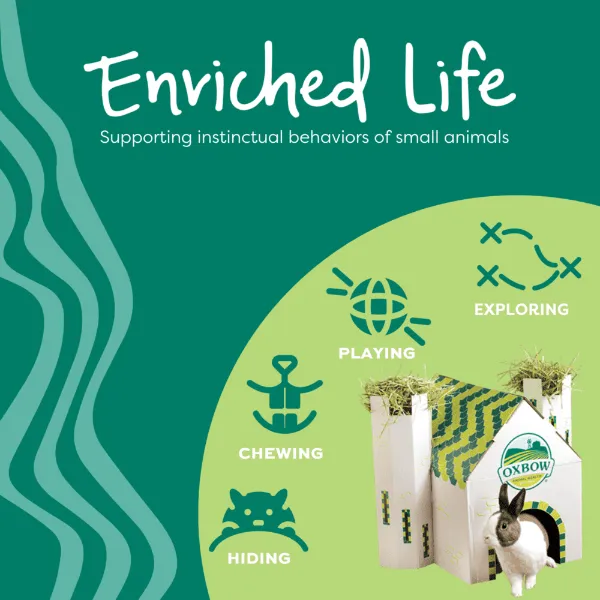 Oxbow Enriched Life - Play Table