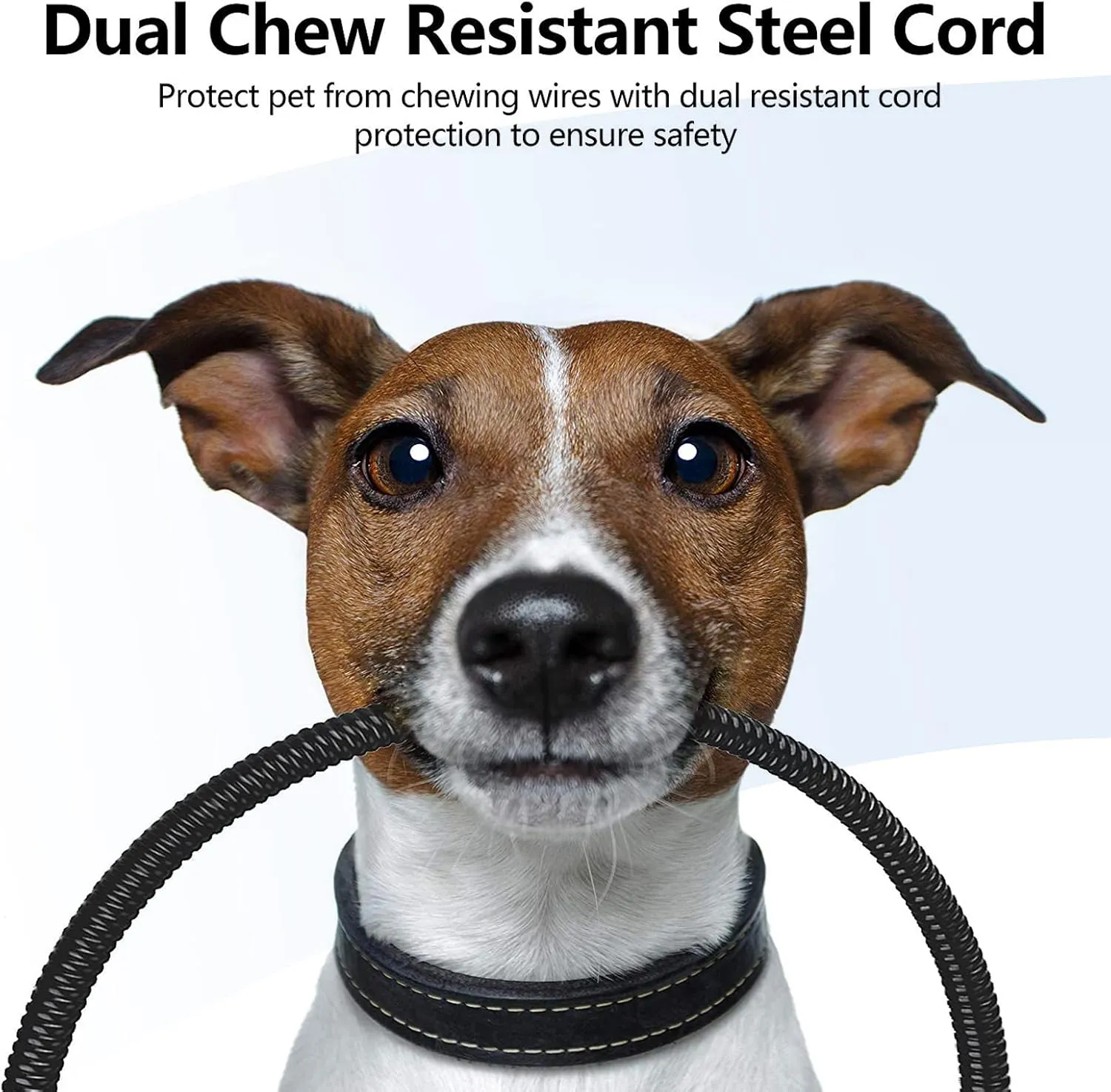 Pet's Best Temperature Adjustable Dog & Cat Heating Pad with Timer - Indoor, Waterproof, Electric Heated Bed Mat