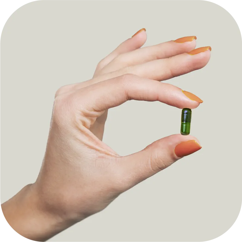 The Complete Multivitamin for Vegans