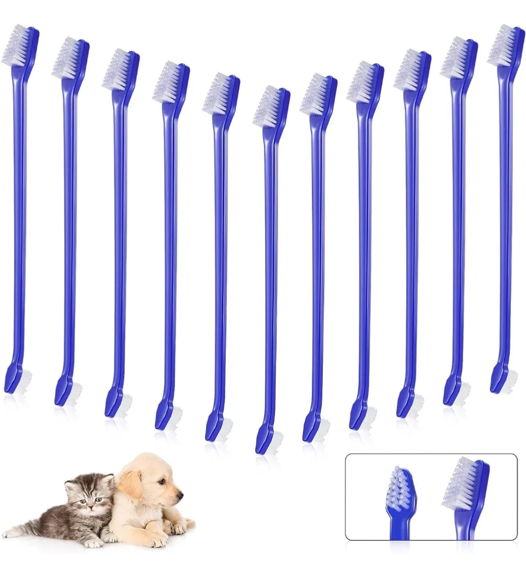 Toothbrush Duo