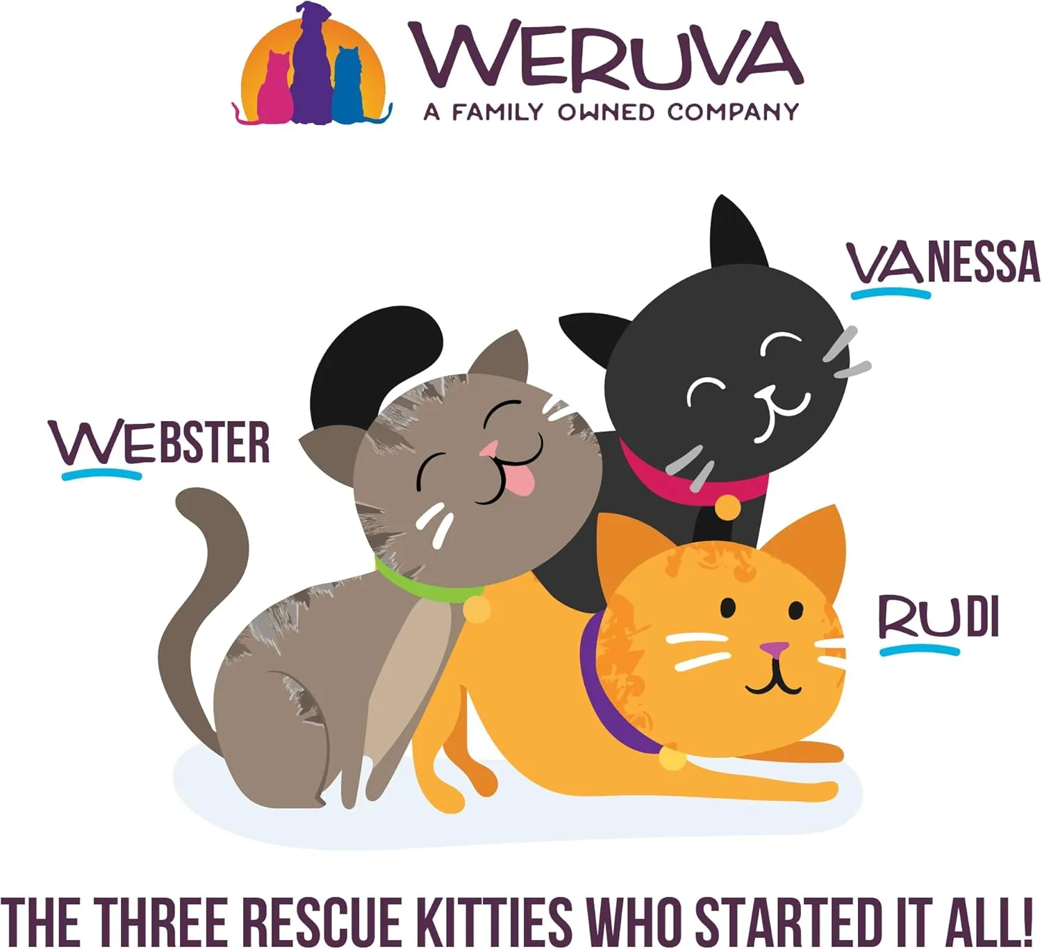 Weruva Cats in the Kitchen, Pantry Party Pouch Variety Pack in Gravy Cat Food, 3oz Pouch (Pack of 12)